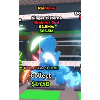 rainbow ginger cisterna 