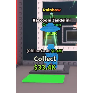 rainbow raccooni jandelini 