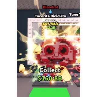 bloodrot tacorita bicicleta