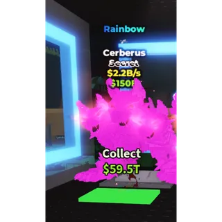 rainbow cerberus 2.2b/s