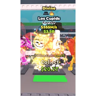 DIVINE LOS CUPIDS 555M/S