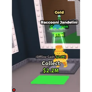 gold raccooni jandelini