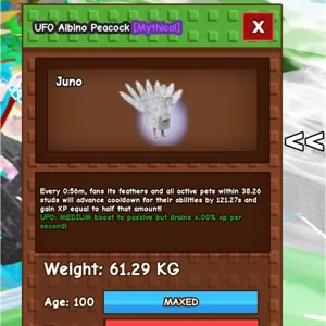 UFO albino peacock