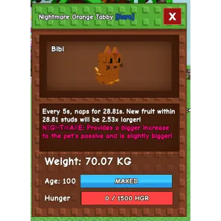 Huge Nightmare Orange Tabby 70kg