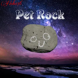 X2 Pet Rock
