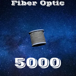 Fiber Optic