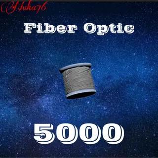 Fiber Optic