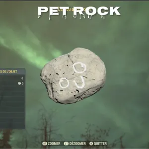 Pet Rock