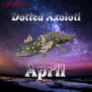 Dotted Axolotl