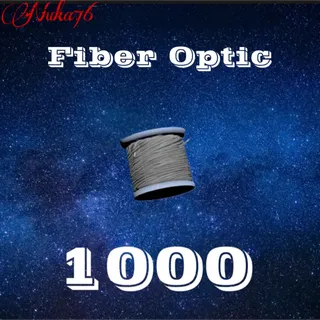 Fiber Optic