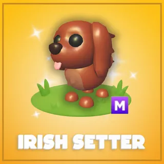 Mega Irish Setter