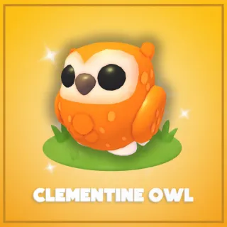 Clementine Owl
