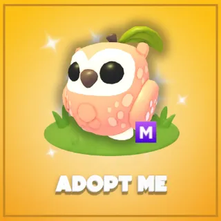 Adopt Me
