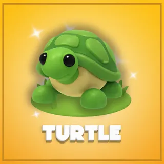 Turtle