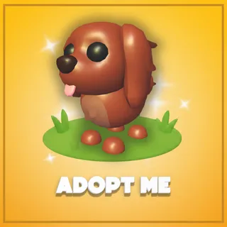 Adopt Me