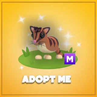 Adopt Me