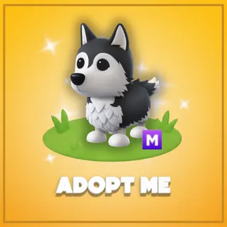 Adopt Me