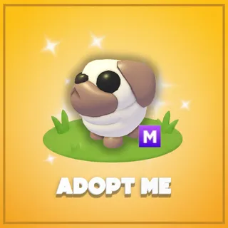 Adopt Me