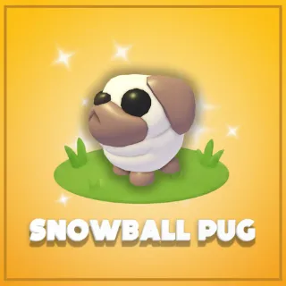 Snowball Pug