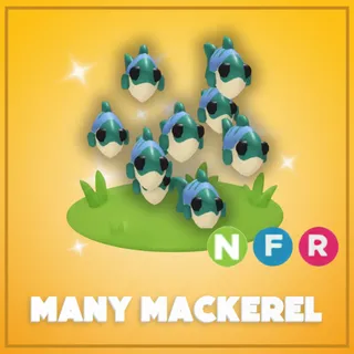 Neon Many Mackerel
