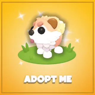 Adopt me