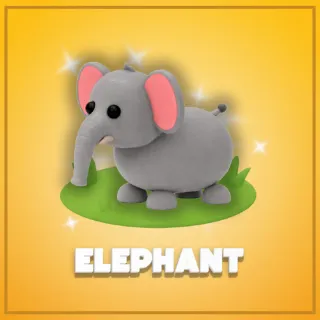 Elephant