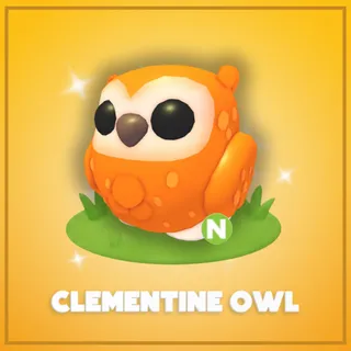 Neon Clementine Owl