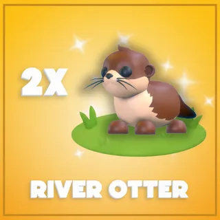 2x River Otter