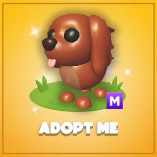 Adopt Me