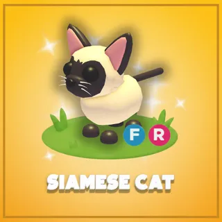 Siamese Cat FR