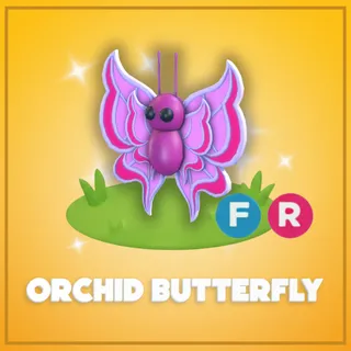Orchid Butterfly FR