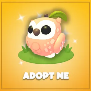 Adopt Me