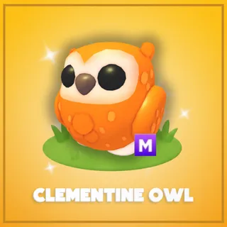 Mega Clementine Owl