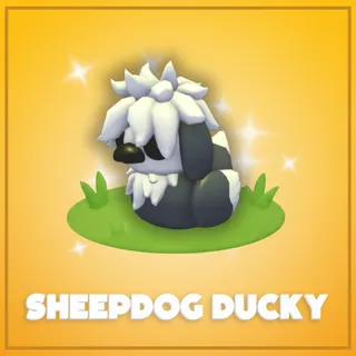 Sheepdog Ducky