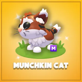 Mega Munchkin Cat