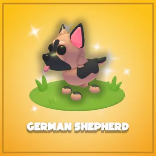 German Shepherd