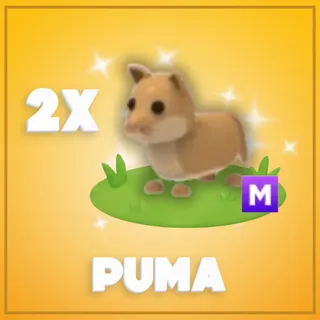 2x Mega Puma