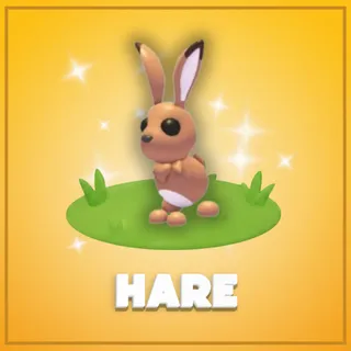 Hare