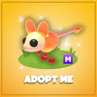 Adopt Me