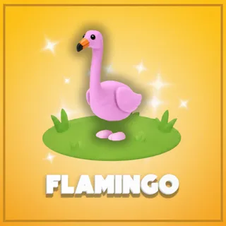 Flamingo