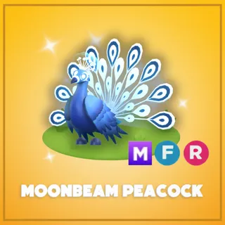 Mega Moonbeam Peacock