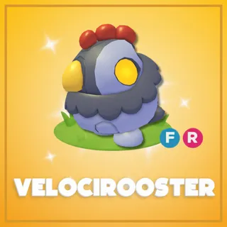 velocirooster FR