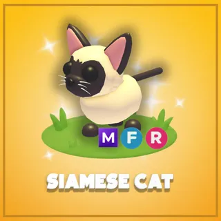 Mega Siamese Cat