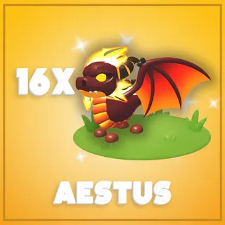 16x Aestus