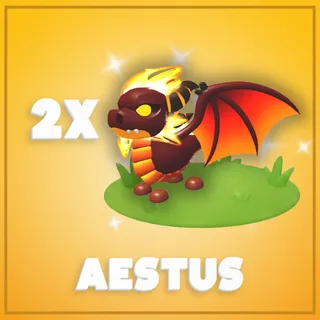 2x Aestus
