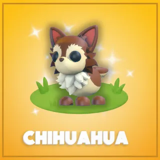 Chihuahua