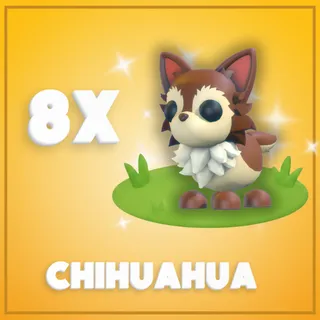 8x Chihuahua