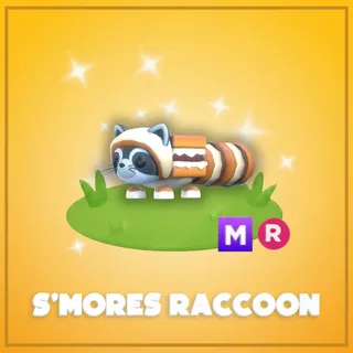 MR S'mores Raccoon