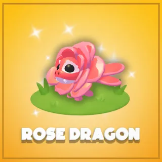 Rose Dragon 