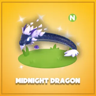 Neon Midnight Dragon